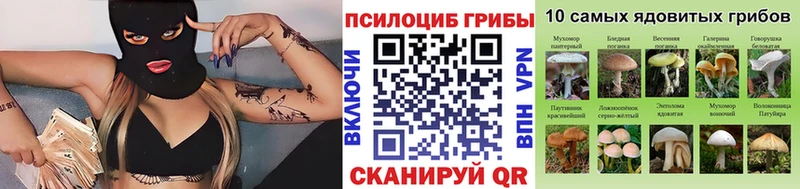 Галлюциногенные грибы MAGIC MUSHROOMS MEGA Саки как найти